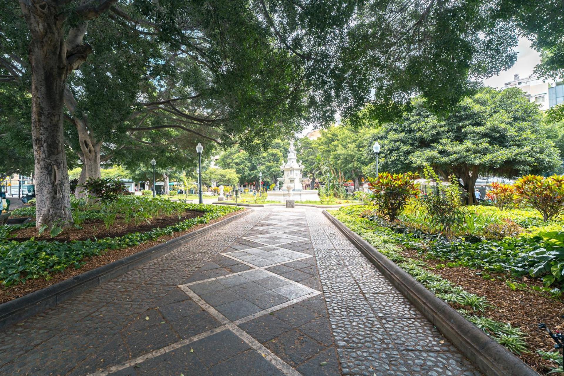סנטה קרוז דה טנריף Apartamento Centro Ciudad מראה חיצוני תמונה